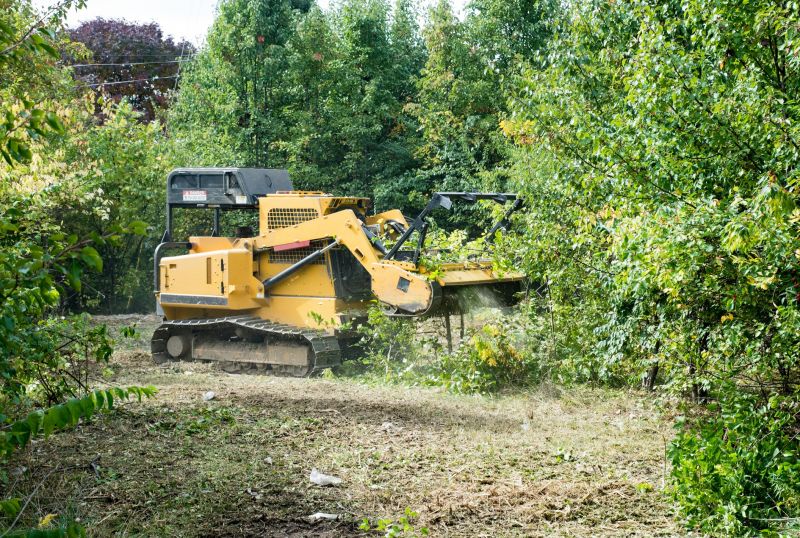Equipment for Fall Cleanup