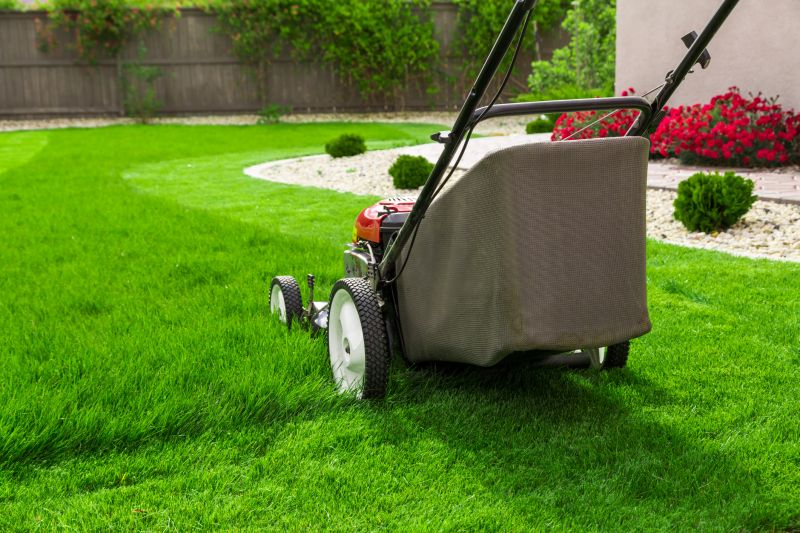 Professional Lawn Care Tools