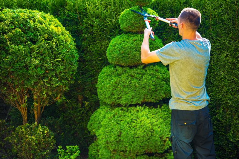 Pruning Shrubs for Shape