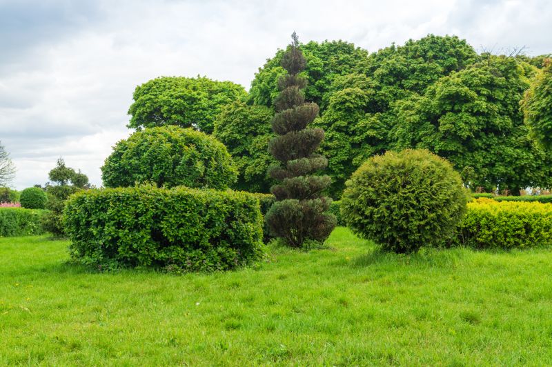Shrubs with Precise Cuts